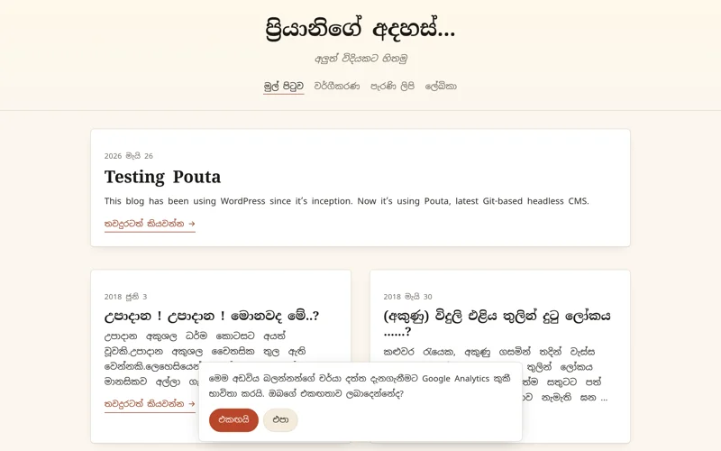 Priyani's Website Screenshot